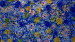 click to view fullsize