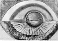 Bitte klicken Sie das Bild an, fr eine vergrsserte Wiedergabe