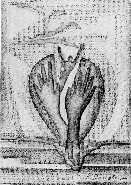 Bitte klicken Sie das Bild an, fr eine vergrsserte Wiedergabe